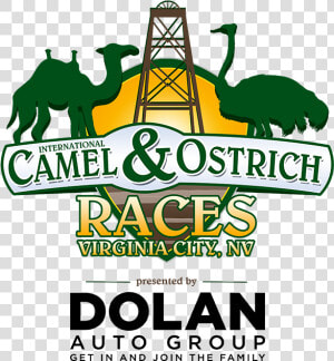 Camel Races In Virginia City 2019  HD Png Download