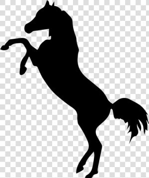 Transparent Horse Clipart   Black Horse Standing On Two Legs  HD Png Download