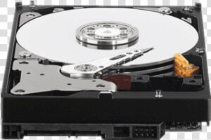 Wd Nas Hdd 8tb  HD Png Download