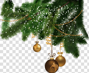 Hd Christmas Fir Tree Png Image   Christmas Tree Png File  Transparent Png