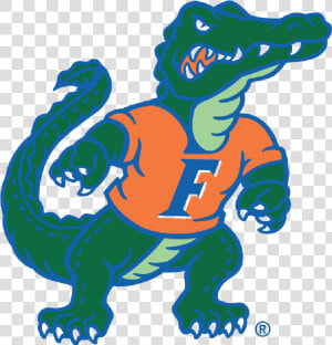 Florida Gators Mascot  HD Png Download