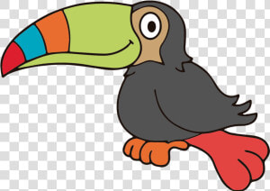 Tucan Png  Transparent Png