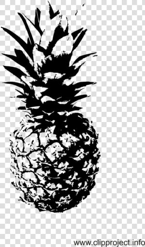 Pineapple Clipart Classy   Schwarz Weiß Bilder Ananas  HD Png Download