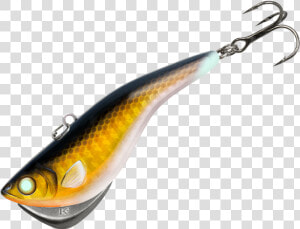 Kamooki Smartfish Walleye  HD Png Download