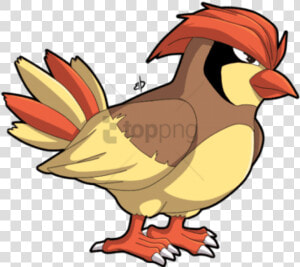 Smosh Pokemon Pidgey   Pokemon Bird With Hair  HD Png Download