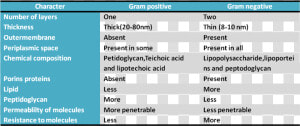 Gram Positive And Gram Negative Cell Wall Difference  HD Png Download