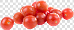 Tomato Png Image   Tomato Transparent Png File  Png Download