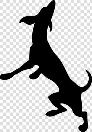 Animal  Canine  Dog  Mammal  Pet  Silhouette   Silhouette Of Horse Rearing  HD Png Download