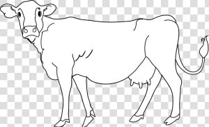 Clipart Cow Cow Indian   Dairy Cow  HD Png Download