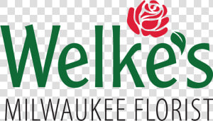 Logo For Welke S Florist Milwaukee   Rose Clipart  HD Png Download