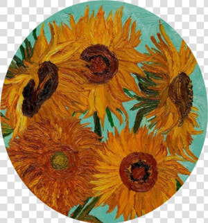  vangogh  vincentvangogh  lovingvincent  sunflowers   Van Gogh Sunflowers Aesthetic  HD Png Download