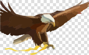 Eagle Cartoon Pictures   Cartoon Eagle  HD Png Download