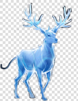  patronus  harrypotter ❤️   Harry Potter Patronus Png  Transparent Png