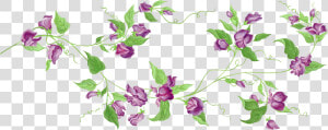 Purple Floral Decor Png Transparent Clipart   Transparent Flower Vine Clipart  Png Download