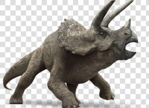 Triceratops Jurassic World  HD Png Download