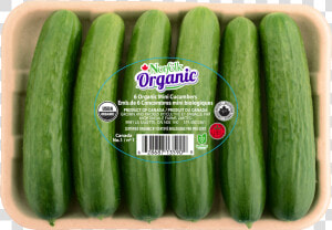 Organic Mini Cucumbers  HD Png Download