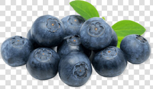 Blueberries Close Up Clip Arts   Clipart Myrtille  HD Png Download