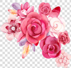  mq  pink  roses  rose  flowers  flower  garden  nature   Watercolor Flower Drawing Png  Transparent Png