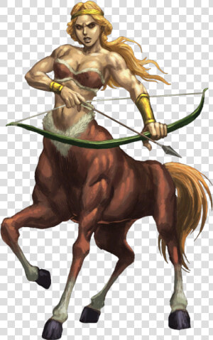 Woman Half Human Half Horse  HD Png Download