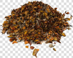 Rummage Sale Pile Of Leaves Png   Brown Leaf Pile Png  Transparent Png