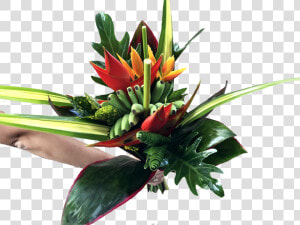 Calipso Medium Tropical Centerpieces  HD Png Download