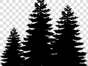 Pine Tree Clipart Loblolly Pine   Clipart Pine Trees Silhouette  HD Png Download