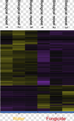 Heat Map With Genes Turned On Or Off  purple  For A  HD Png Download