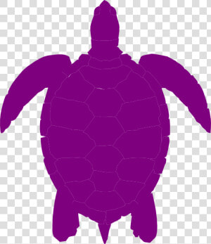 Plum Sea Turtle Clip Art At Clipartimage   Silhouette Sea Turtle Vector  HD Png Download