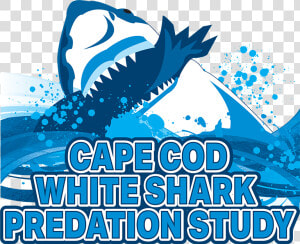 Cape Cod White Shark Predation Study Logo   Limp Bizkit  HD Png Download