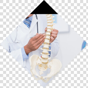 Back  amp  Spine Conditions Background Image   Doctor With Spine  HD Png Download