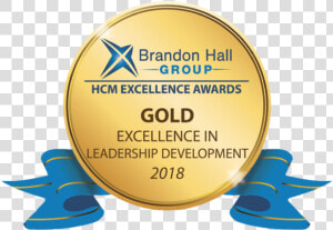 Brandon Hall Group Hcm Excellence Award  HD Png Download