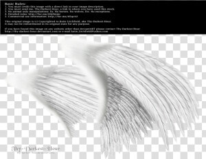 Dual White Med Png   Angel Wings Side View Png  Transparent Png