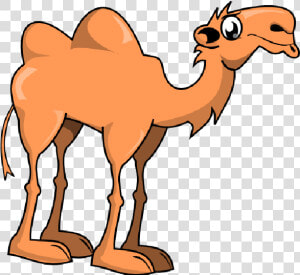 Cute Camel Clipart Funny Pictures   Camel Clipart  HD Png Download