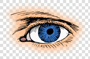 Iris close Up eye   Clip Art Eyes Blue  HD Png Download