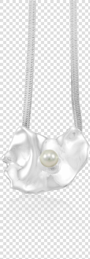 Oyster With White Pearl Pendant Small   Chain  HD Png Download