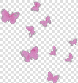  ftestickers  watercolor  butterflies  pink   Pieridae  HD Png Download