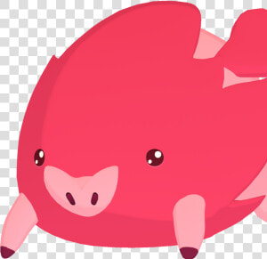 Pigepic   Tem Tem Pig  HD Png Download