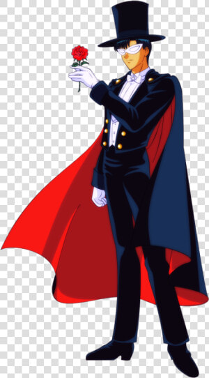 The Stuingtion And Hiatt Grey Cinematic Universe W   Sailor Moon Tuxedo Mask Png  Transparent Png