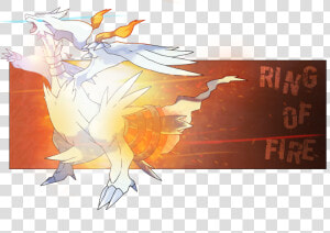  ​img    Pokemon Reshiram  HD Png Download