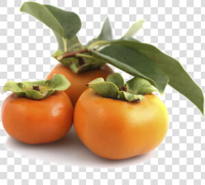 Fuyu Persimmons Png Pic   Kaki Właściwości  Transparent Png