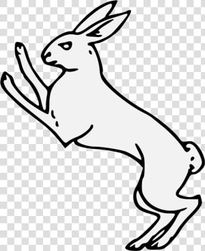 Transparent Hare Png   Domestic Rabbit  Png Download