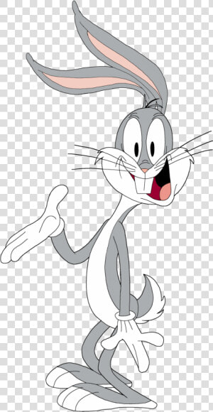 Bugs Bunny Elmer Fudd Cartoon Drawing Looney Tunes   Wile E Coyote Funny  HD Png Download