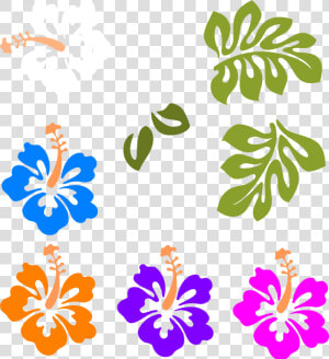 Transparent Blue Hibiscus Clipart   Flowers Patterns Outline For Stencil  HD Png Download