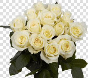 White Roses For Sale Freshest Anastacia Roses   Floribunda  HD Png Download