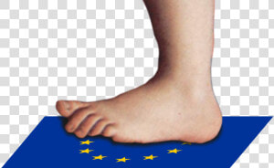 Monty Python Foot Png  Transparent Png