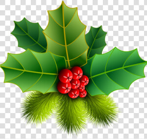 Christmas Holly Picture Christmas Holly Pinheiro Free   ต้น ฮ อ ล ลี่ วัน คริสต์มาส  HD Png Download