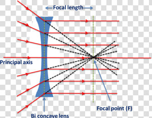 Biconcave Lens  behaviour Of Rays Passes Through Focal   Lens Ray Through Focal Point  HD Png Download