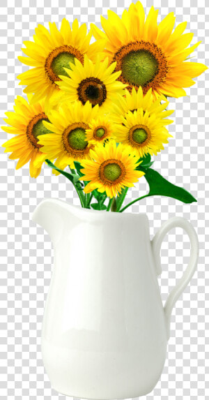 Common Sunflower Vase   Sunflower Vase Transparent Background  HD Png Download