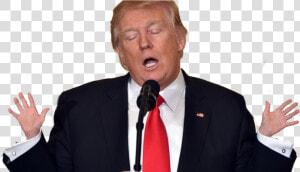 Donald Trump Png   Trump Gif Png  Transparent Png