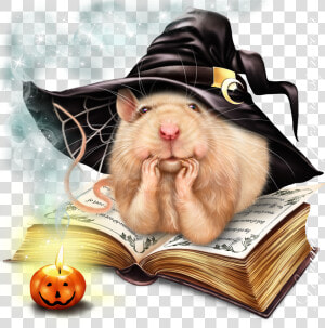 Transparent Rats Clipart   Halloween Rat Clipart  HD Png Download